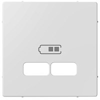 Лицевая панель Schneider Electric Merten System M для 2-м. розетки USB активно-белый